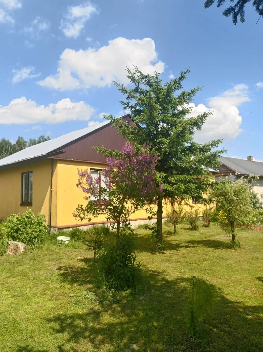 Dom z dużą działką prywatny staw las