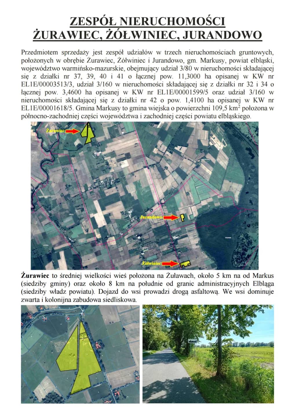 Syndyk sprzeda udziały w grunatach Żurawiec, Żółwiniec, Jura