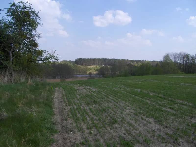 dwie duże działki nad jeziorem, blisko miasta