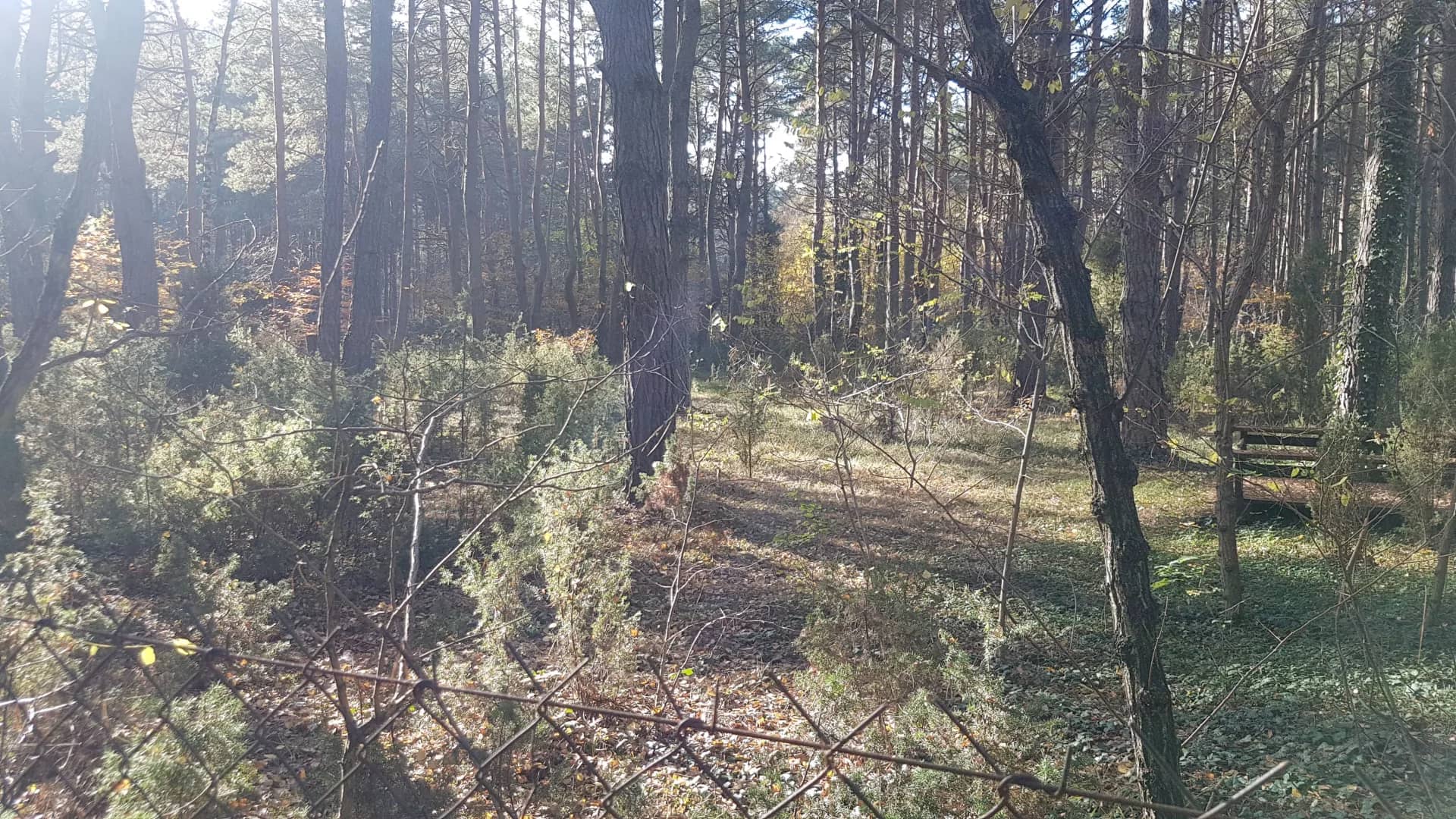 Działka Radzymin Rejentówka
