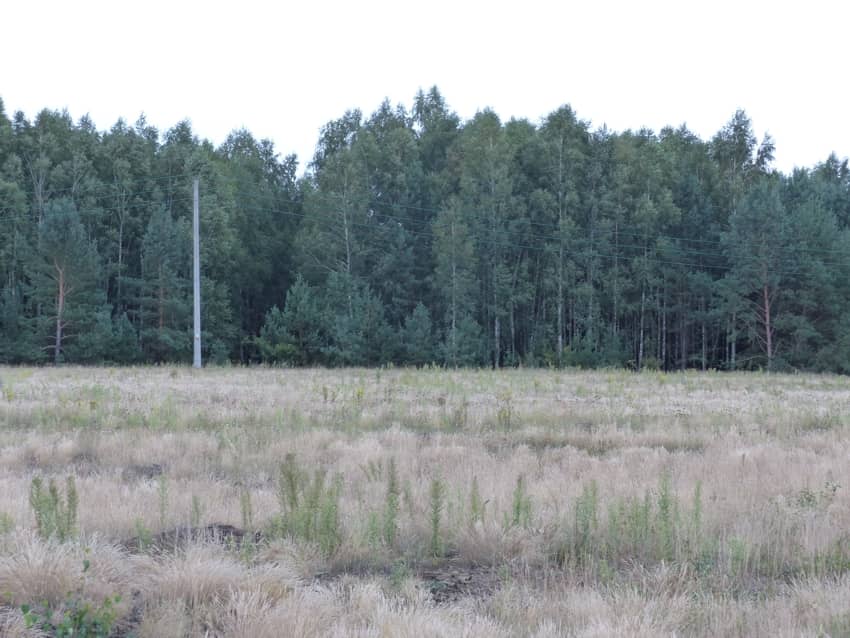 Działki rolne z warunkami zabudowy