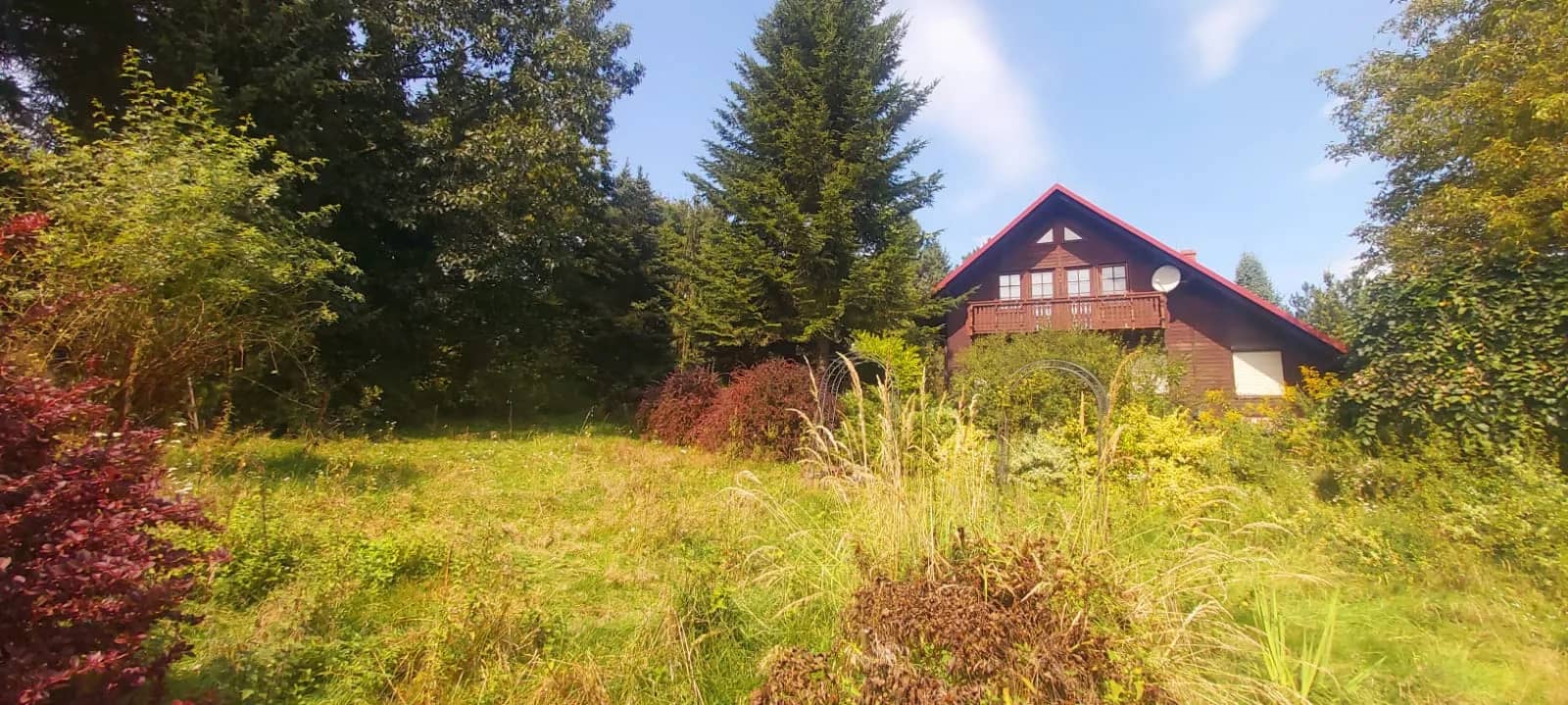 Siedlisko 1,1 ha + stodoła 400 m² | Kończyce Wielkie