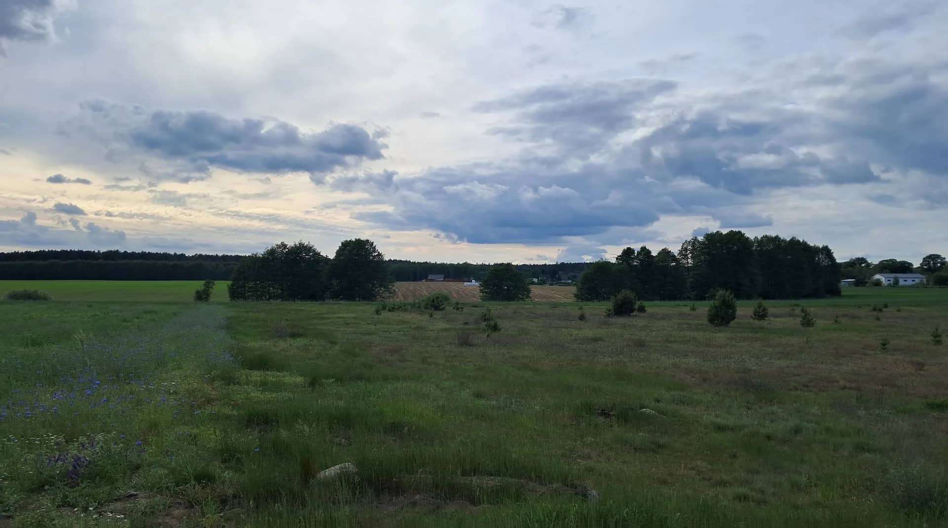 Działka budowlana Dolnik 1074 m2. Wydane WZ.