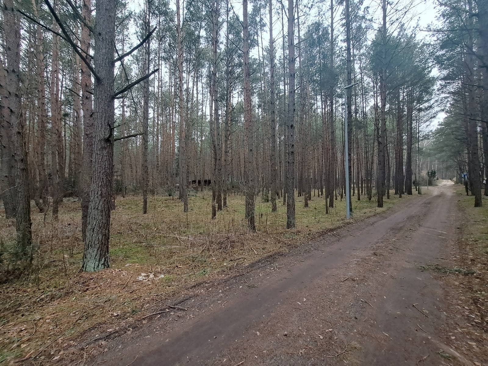 Ładna działka Łosie 2120m2 las, rzeka, 30 minut do Warszawy, MPZP