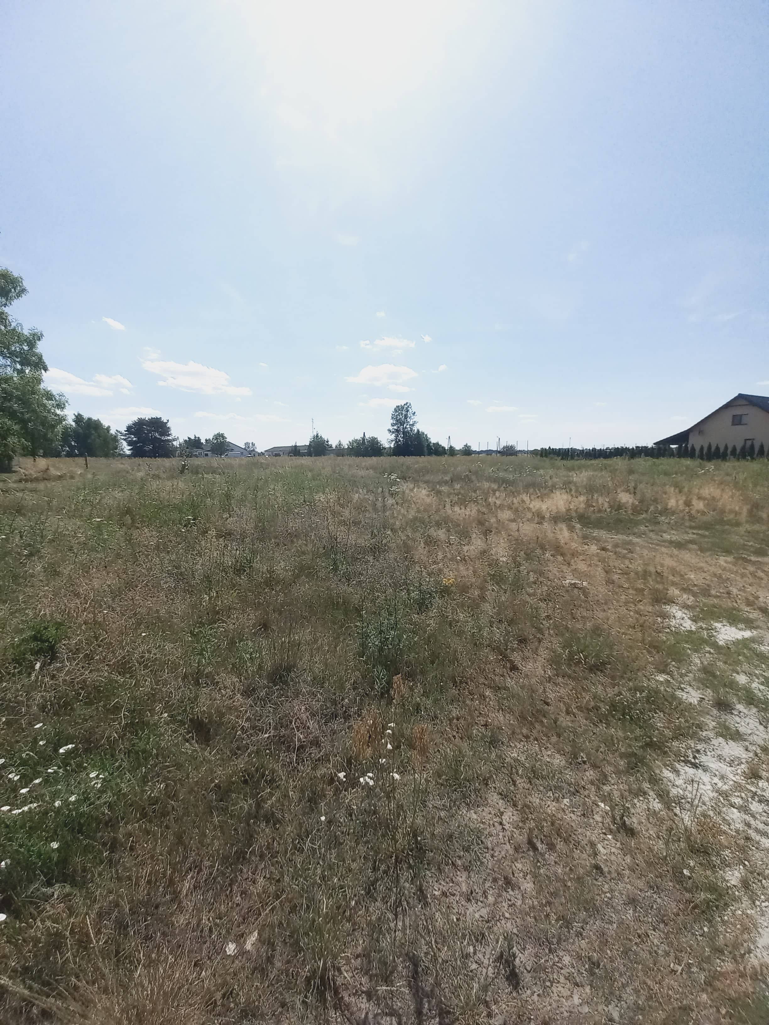działka budowlana 21ar, Kłębanowice gm. Polkowice