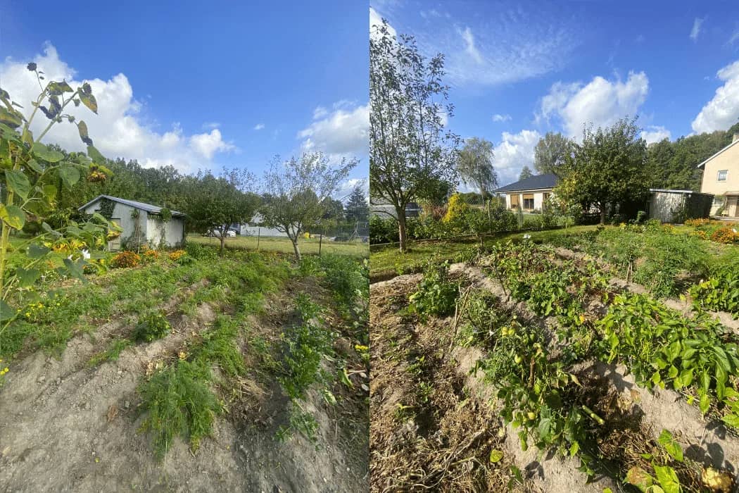 Działka 1200 m2 z domem jednorodzinnym 113,86 m2