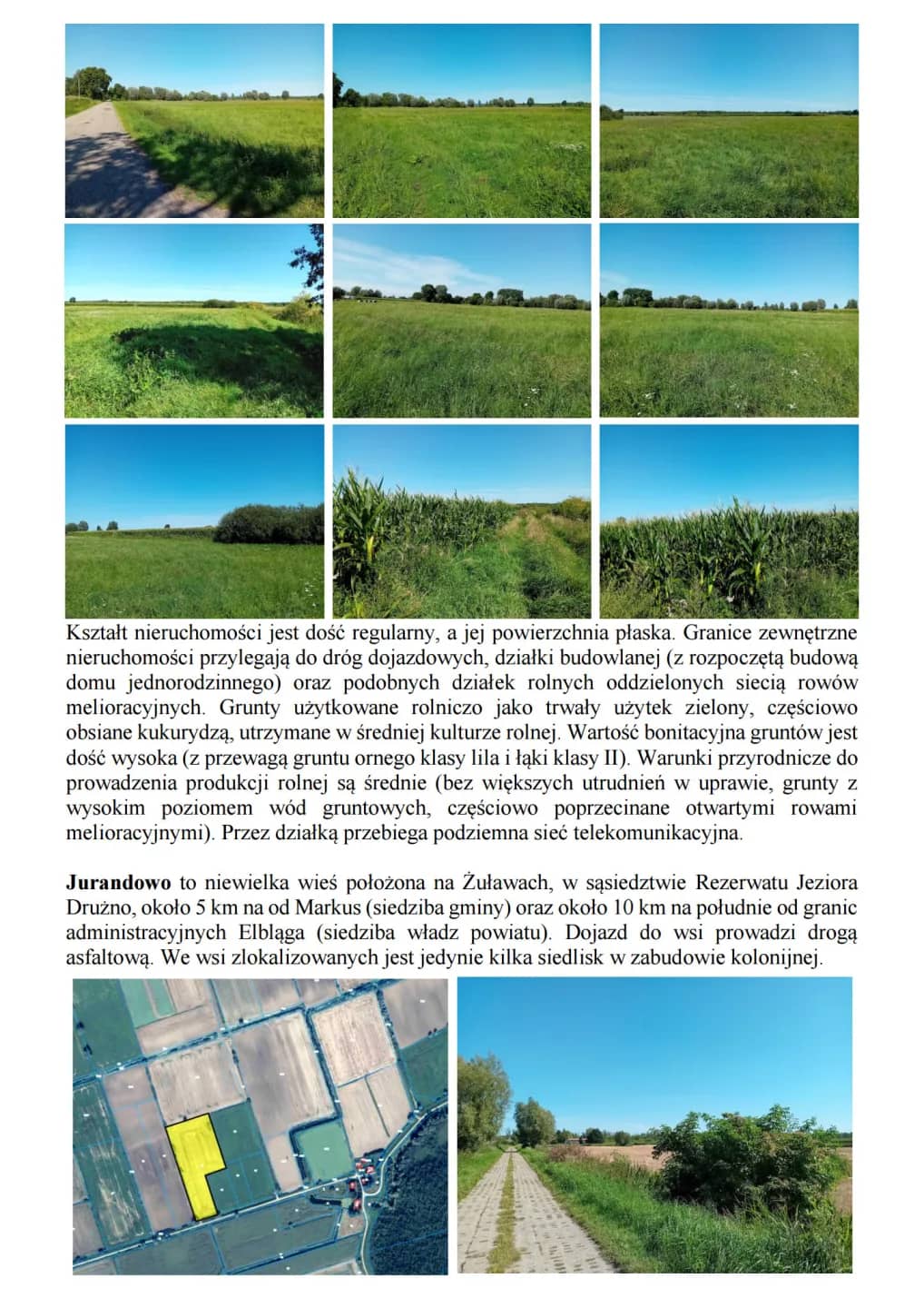 Syndyk sprzeda udziały w grunatach Żurawiec, Żółwiniec, Jura