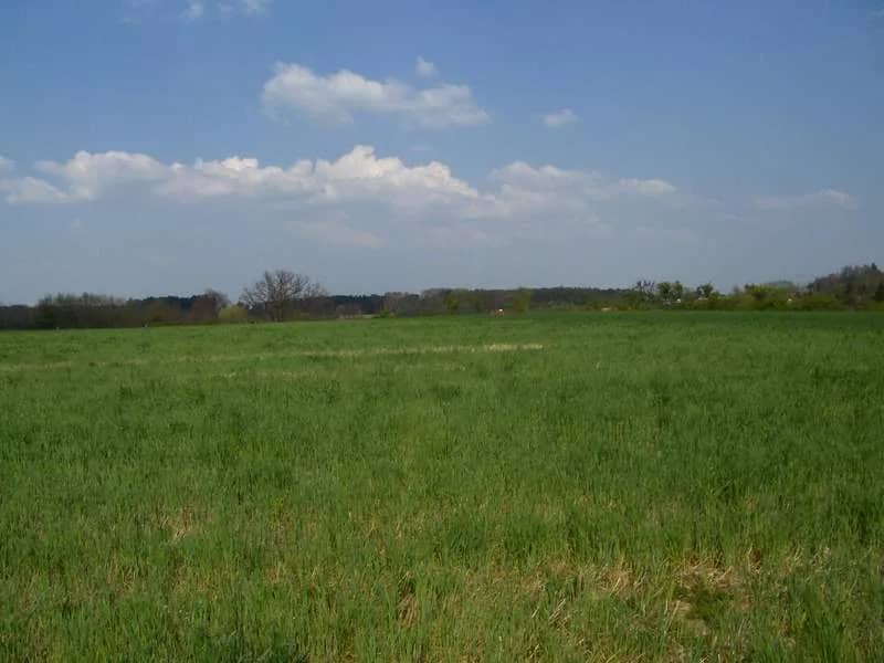 dwie duże działki nad jeziorem, blisko miasta
