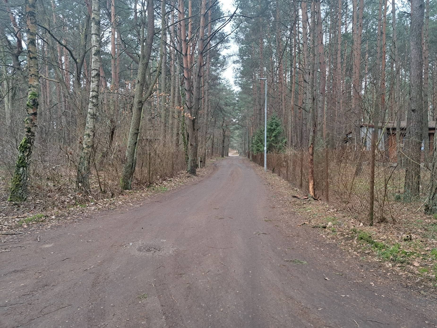 Ładna działka 3761m2 w lesie z domkiem Łosie mieszklano/usługowa z MPZP