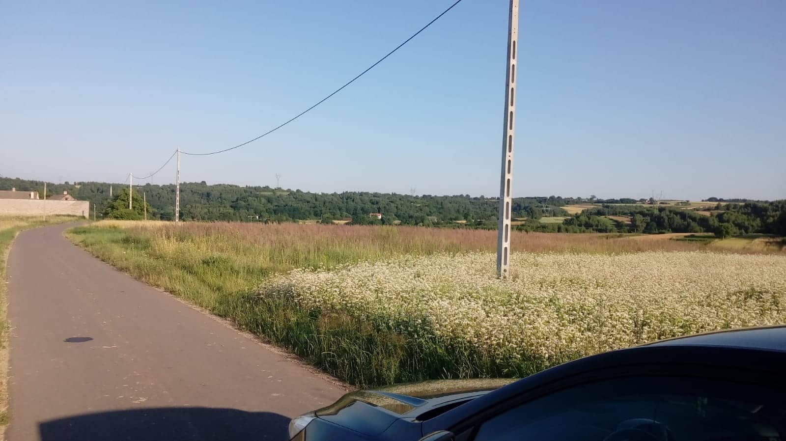 Sprzedam działkę