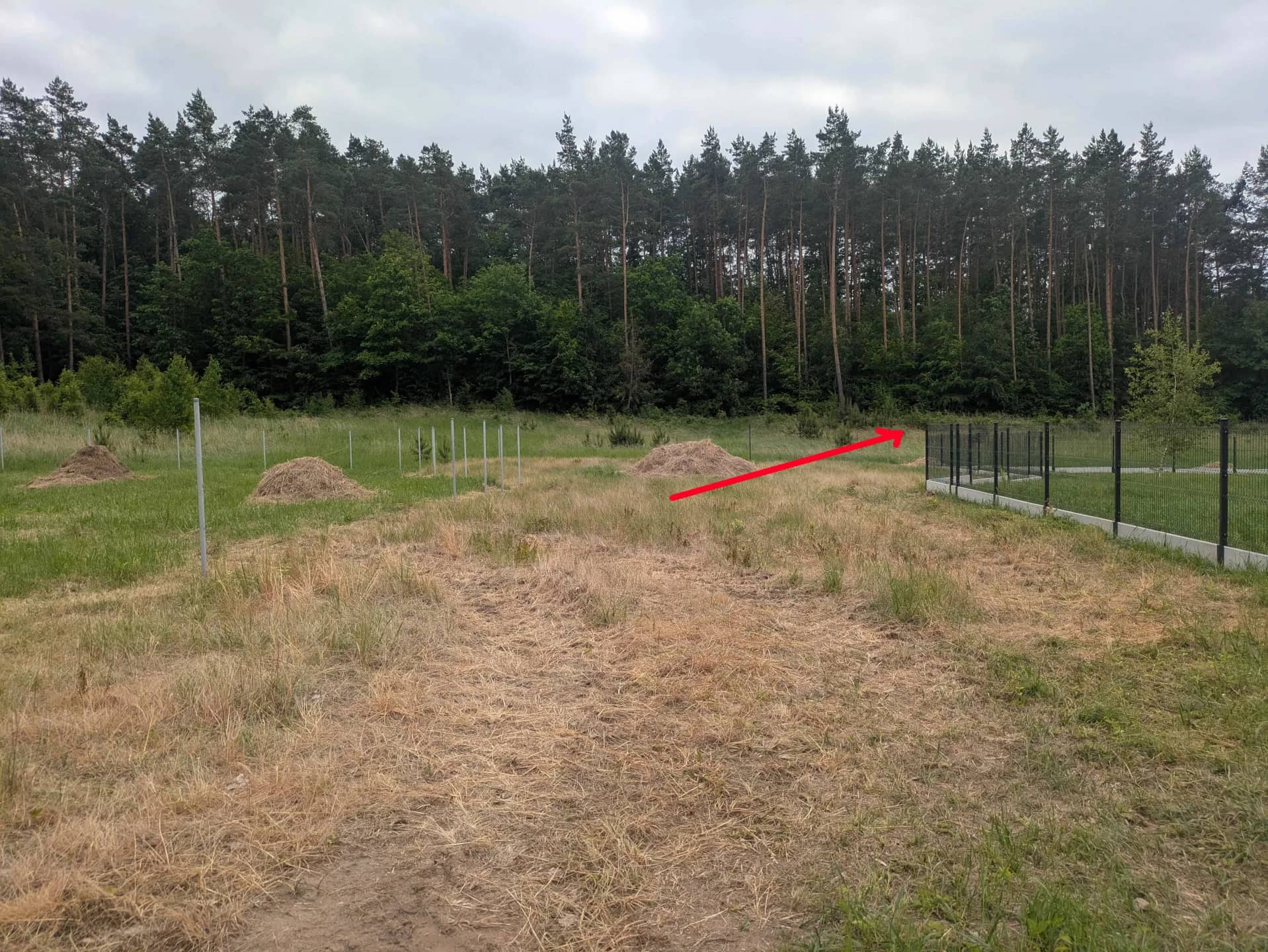 urokliwa działka budowlana przy lesie  z projektem 2351m2