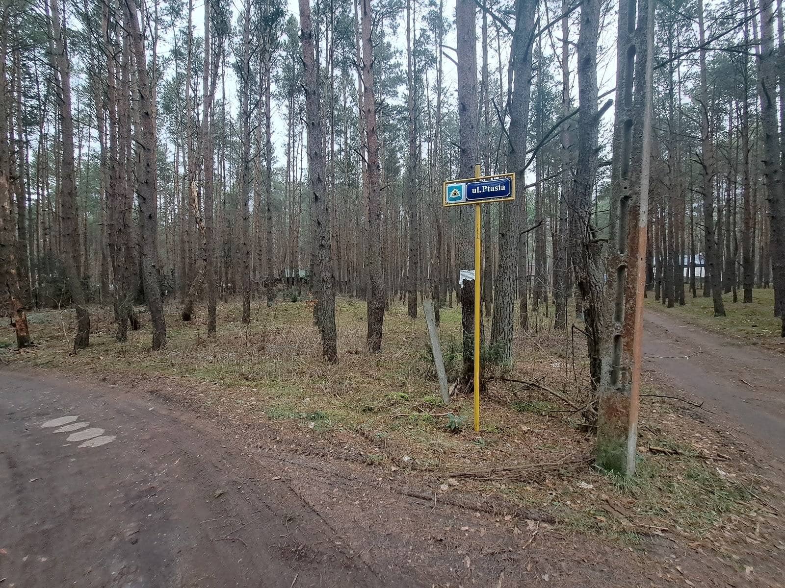 Ładna działka Łosie 2120m2 las, rzeka, 30 minut do Warszawy, MPZP
