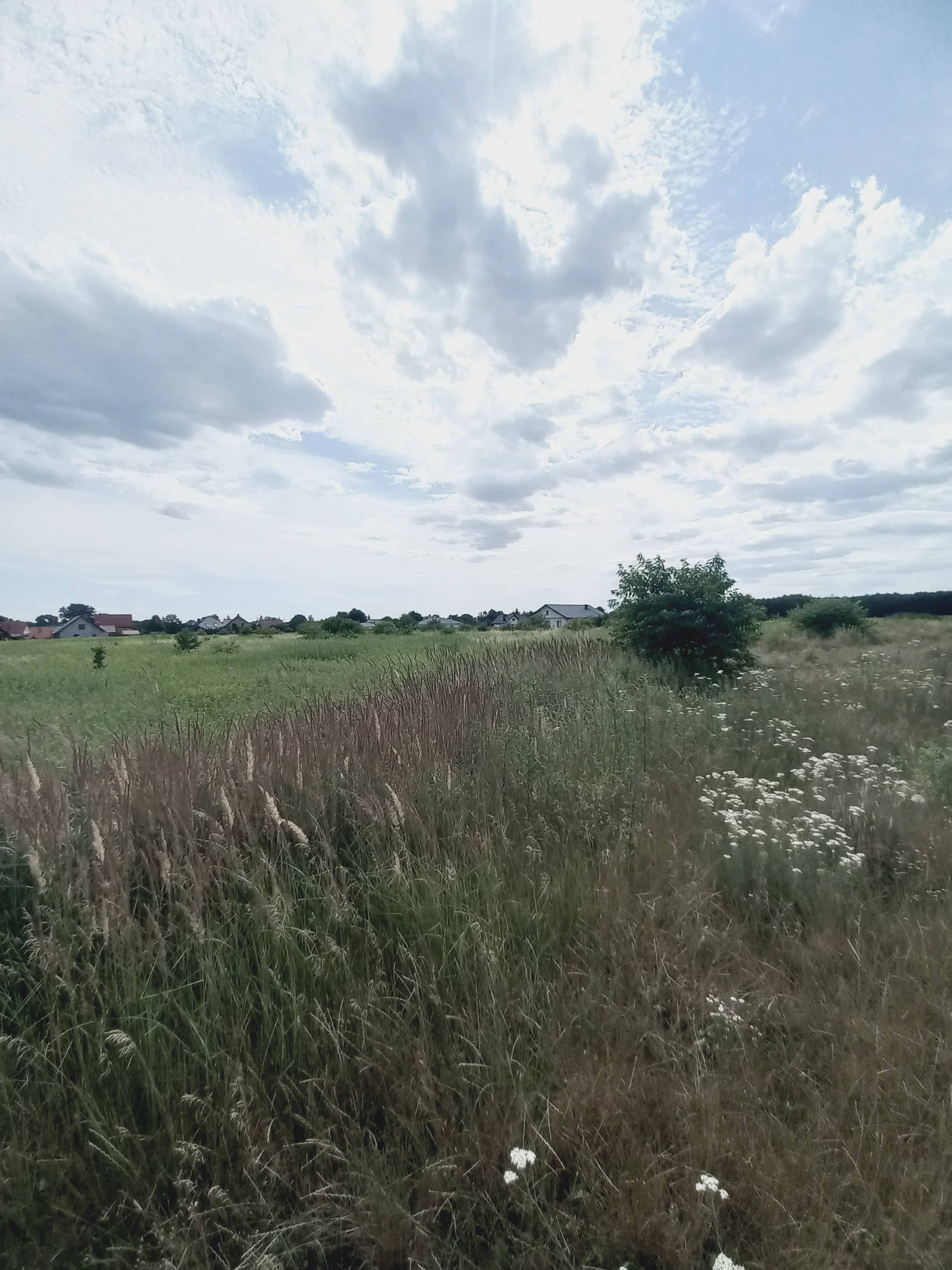 działka 11,3ar, Szklary Górne, gm. Lubin