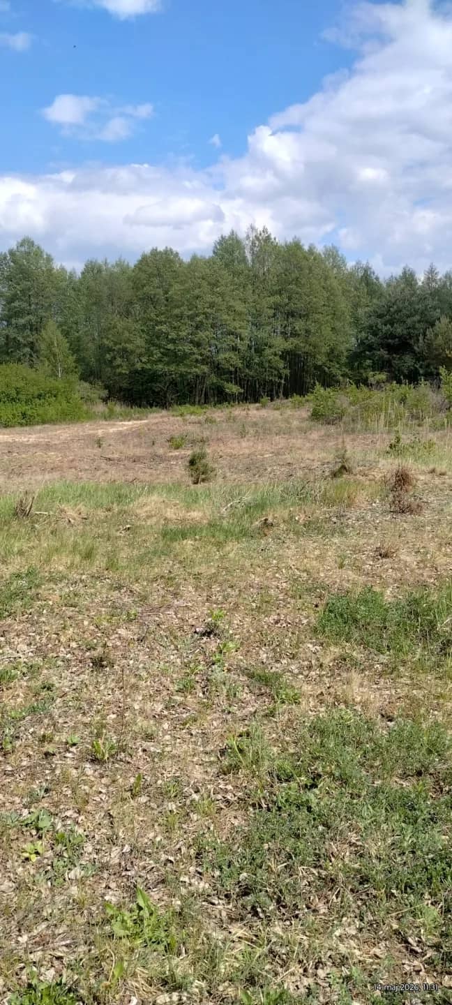 Działka budowlana 3000 m² – Kazuń Bielany, blisko Warszawy