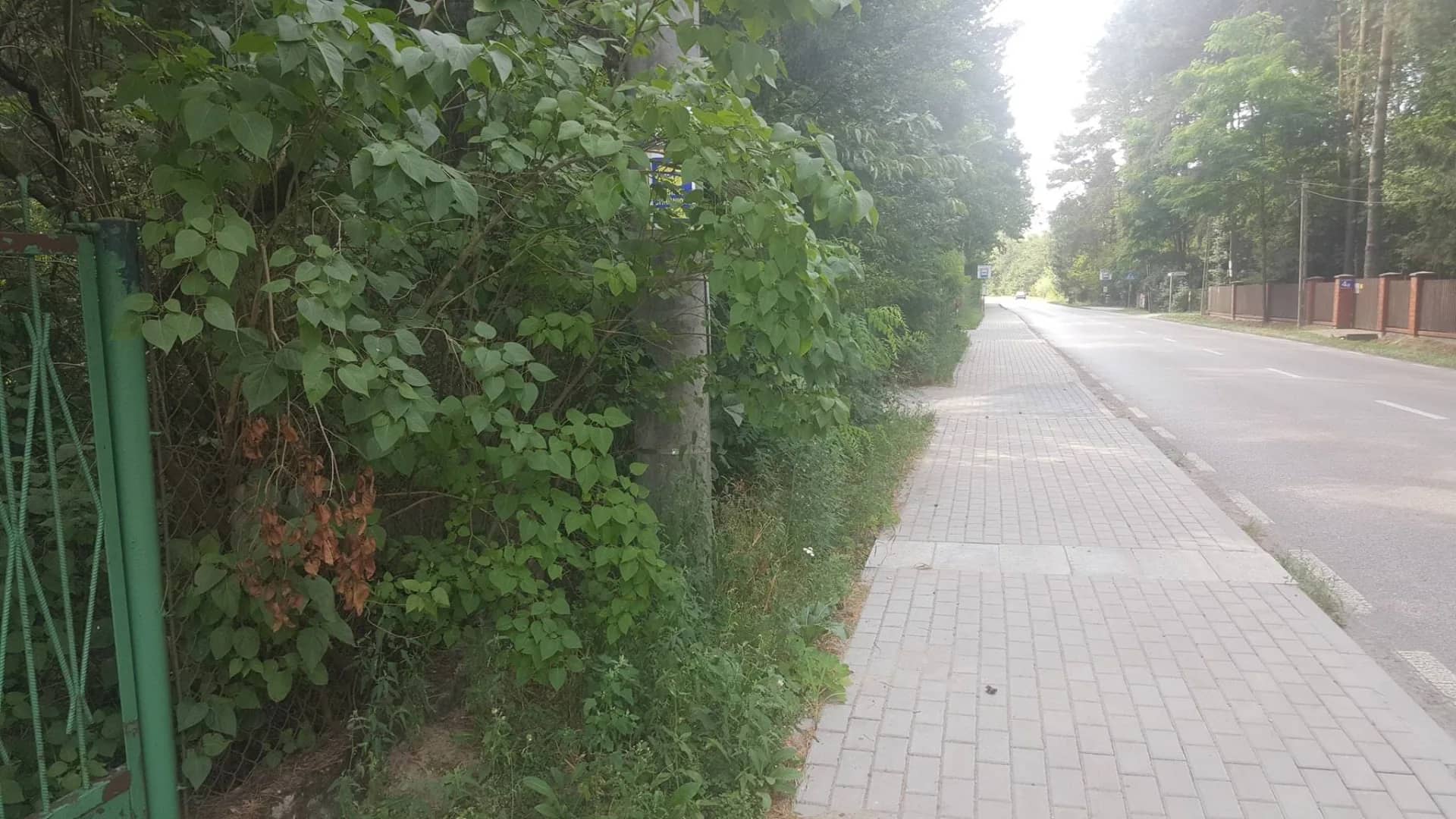Działka Henryków-Urocze (możliwość zakupu w ratach)