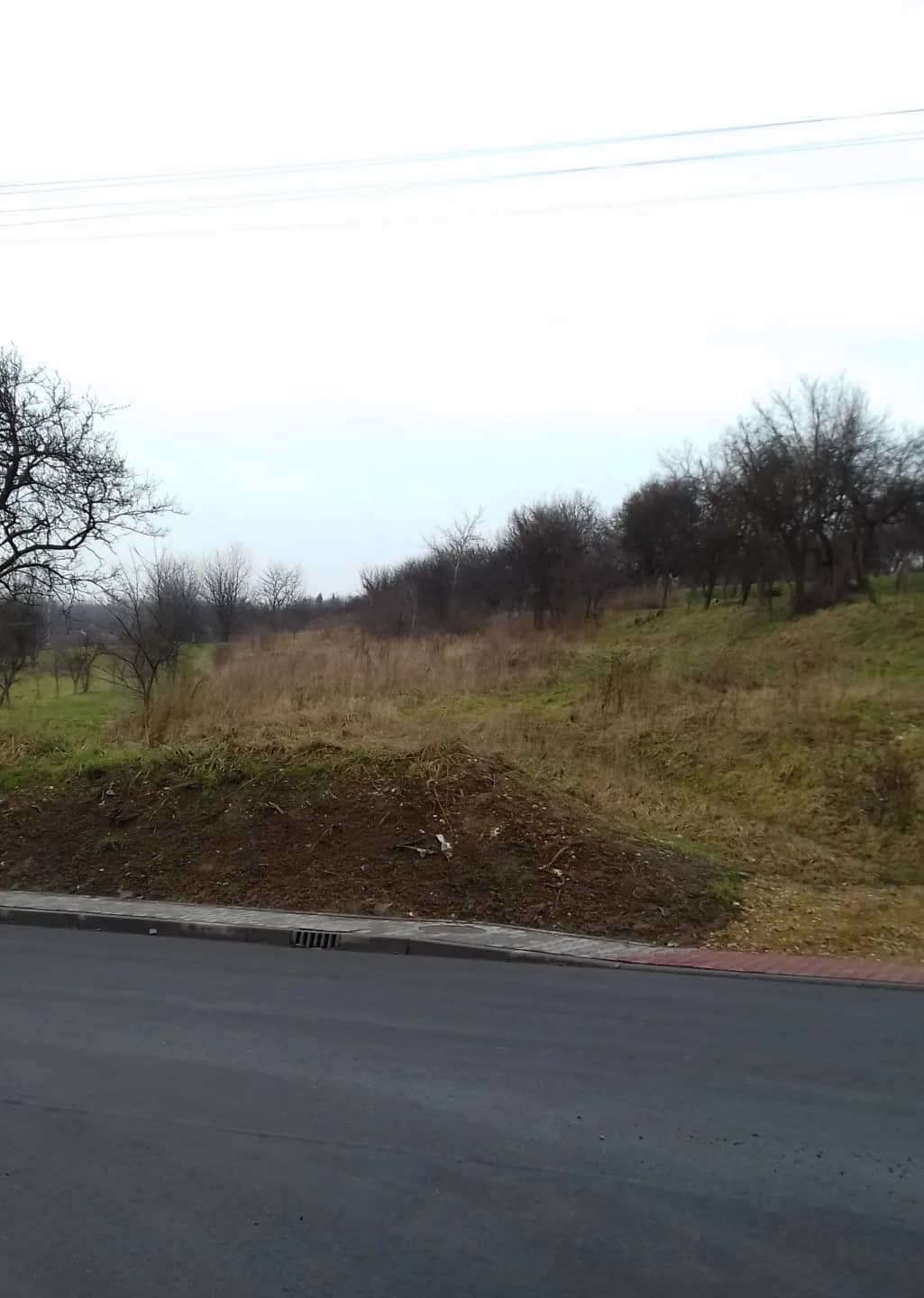 Morawica k.Krakowa-Działka 80ar