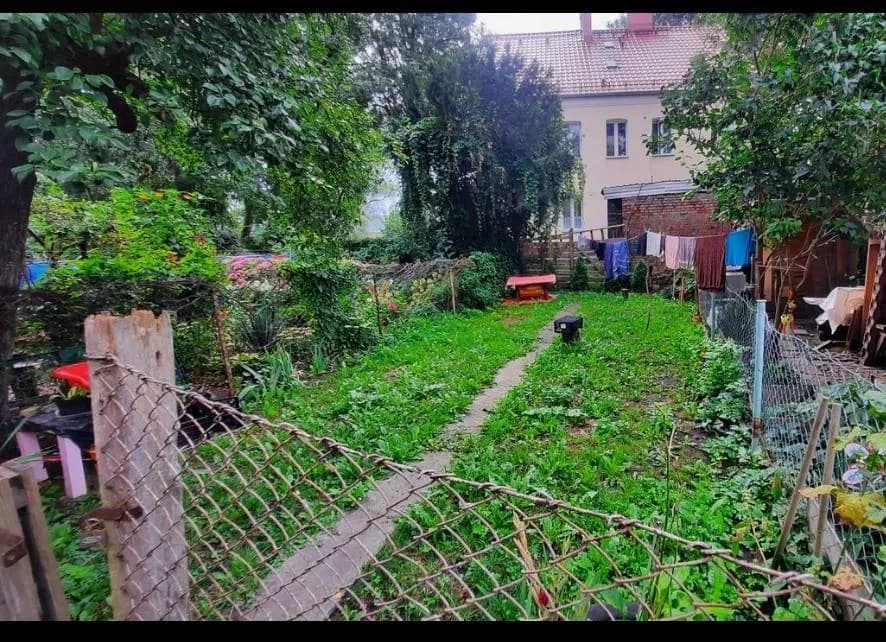 Zdjęcie 10