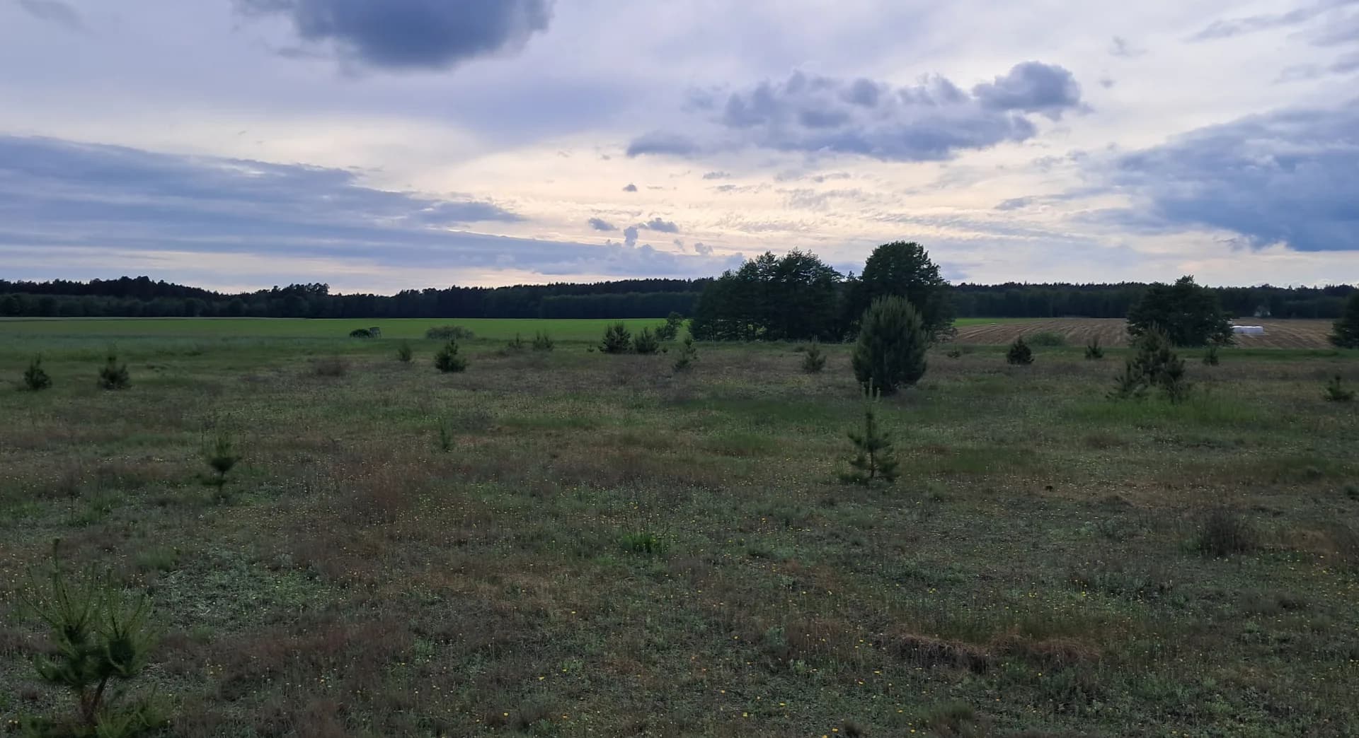 Zdjęcie 12