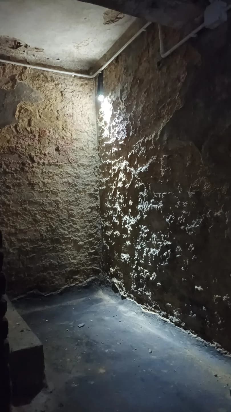 Zdjęcie 13