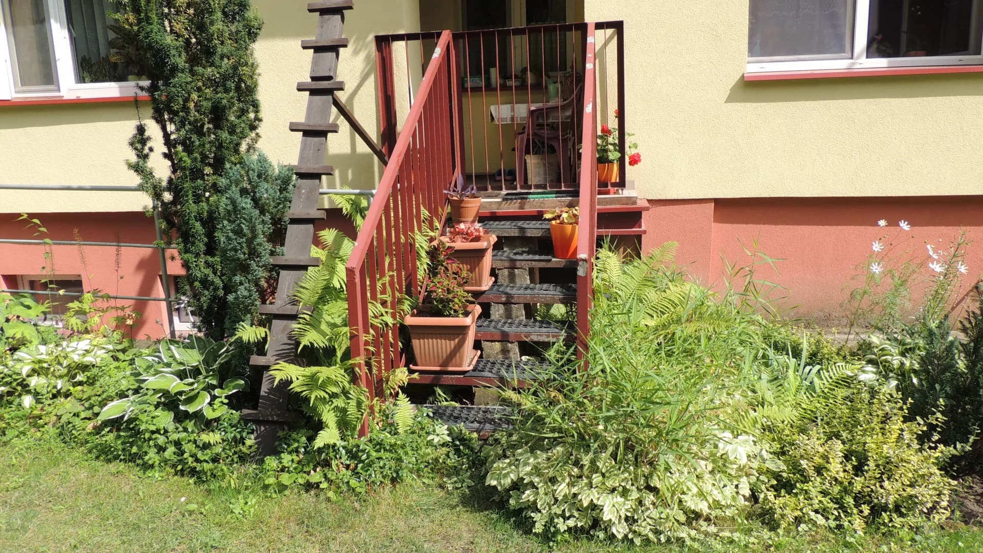 Zdjęcie 11