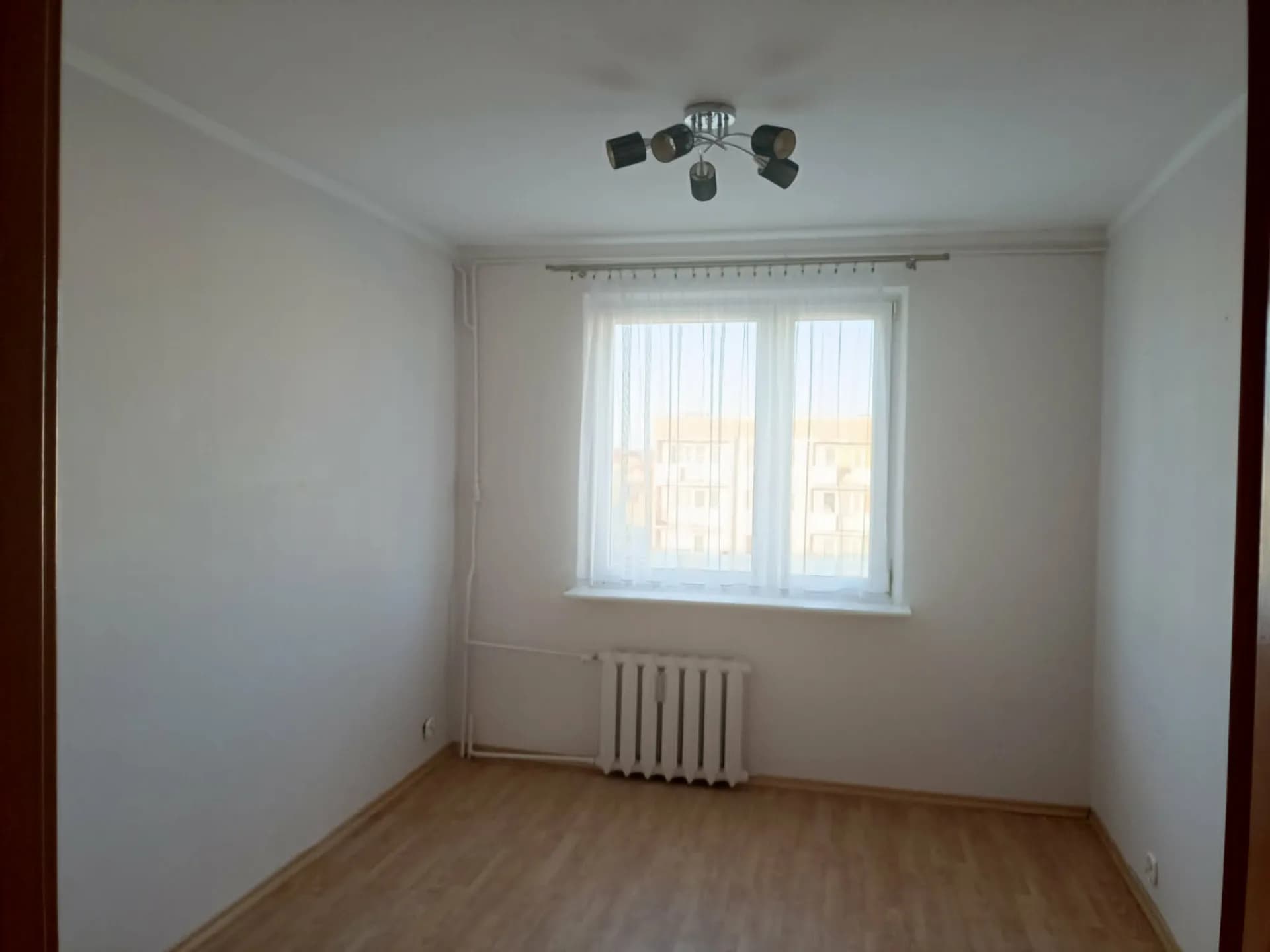 Zdjęcie 13