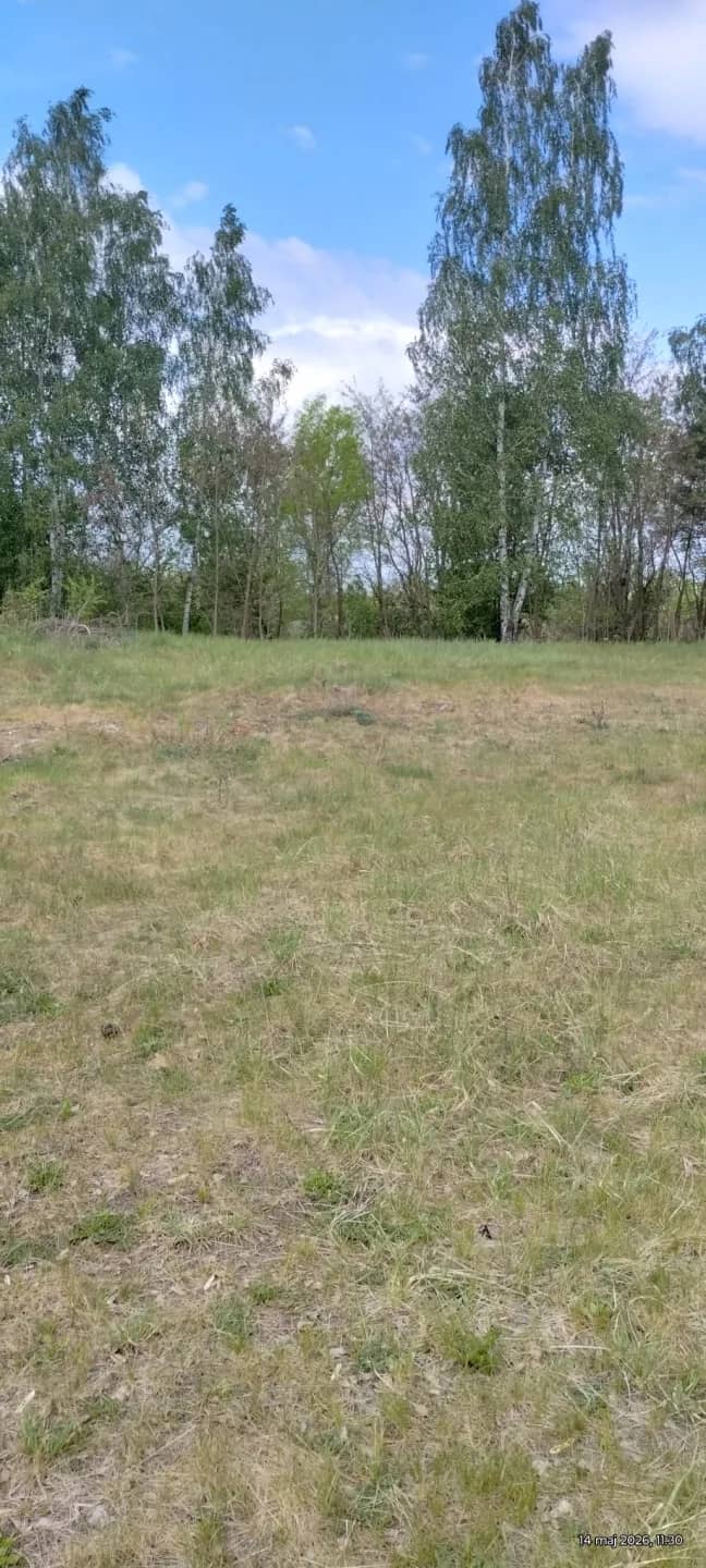 Działka budowlana 3000 m² – Kazuń Bielany