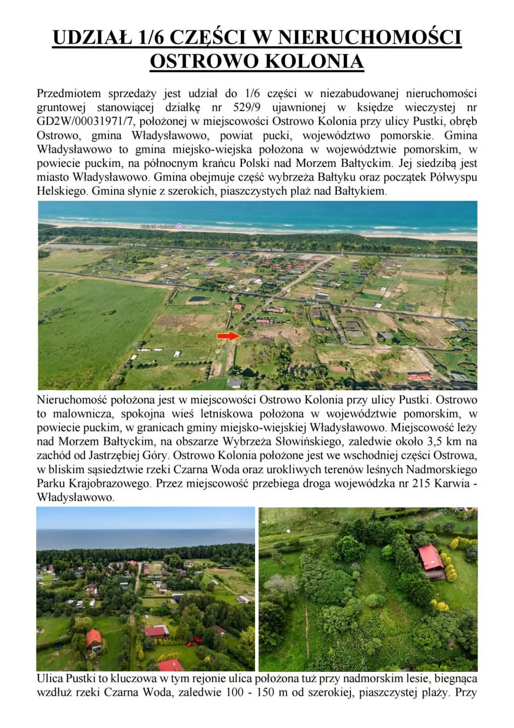 Syndyk sprzeda działkę Ostrowo Kolonia