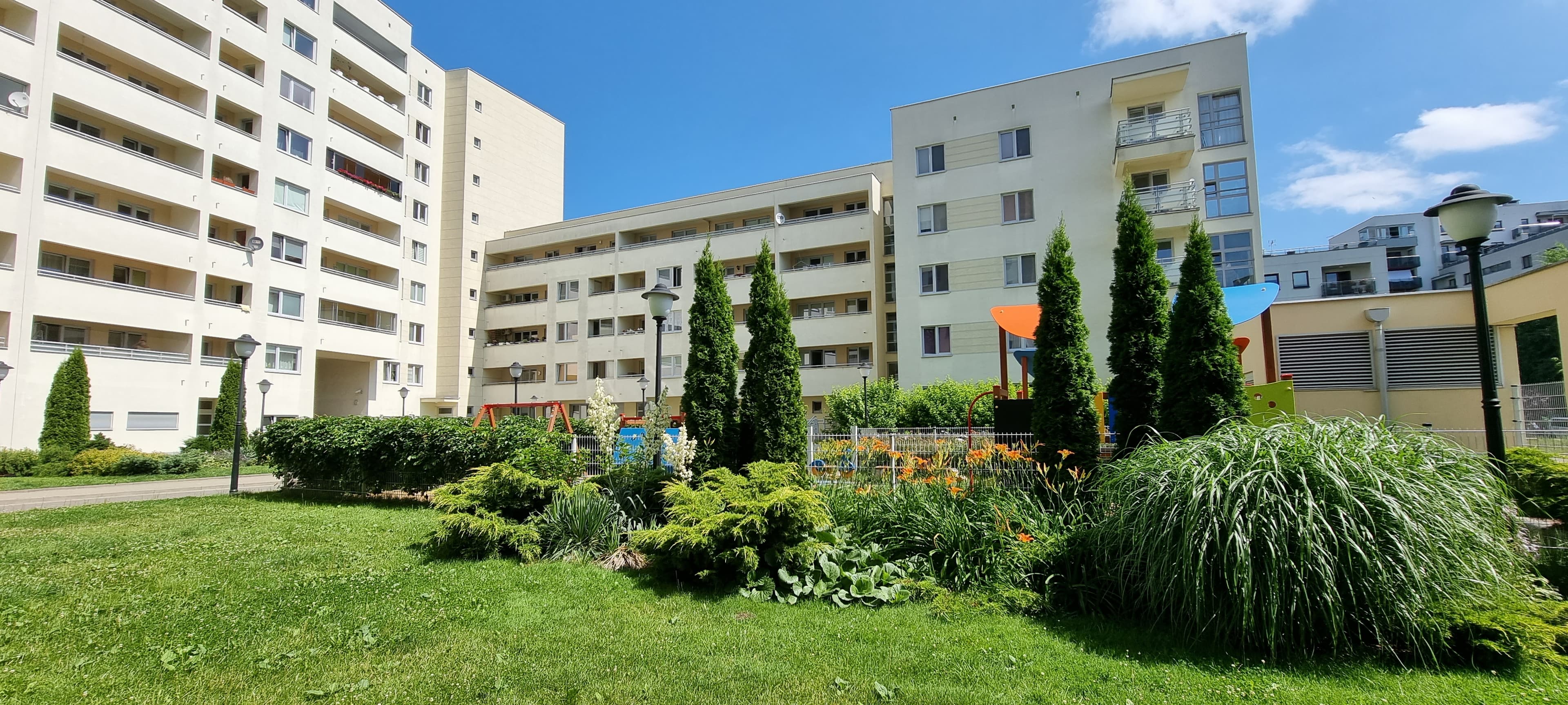 Zdjęcie 6