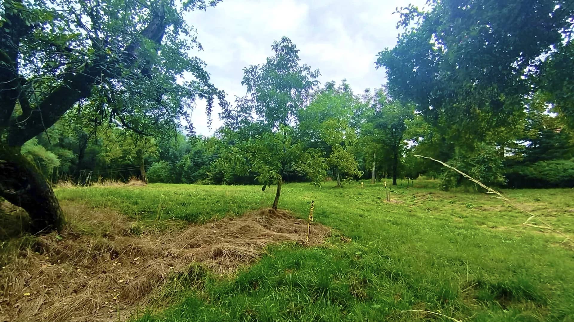 Działka budowlana -Janowice, powiat tarnowski, gm. Pleśna
