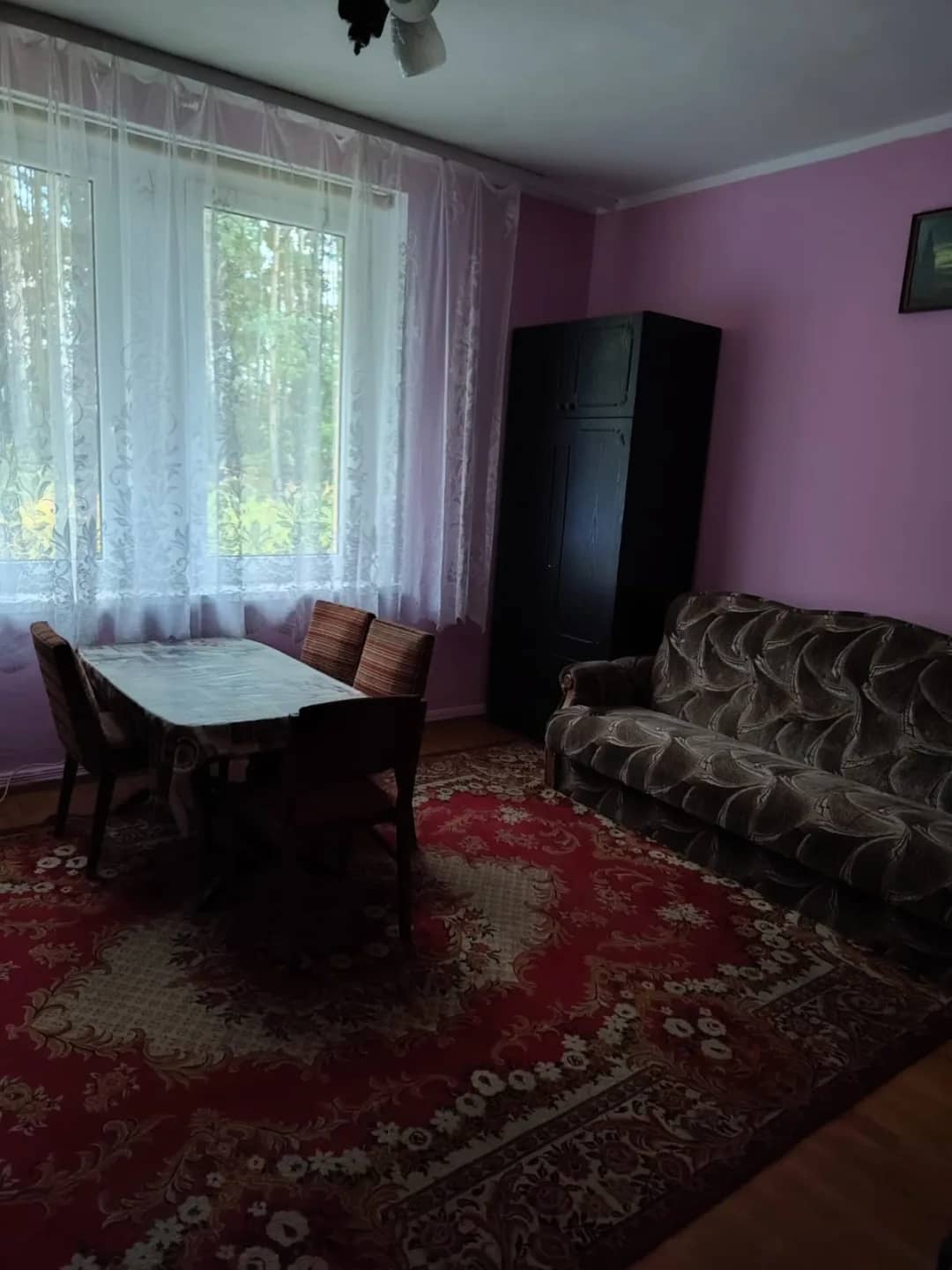 Połowa bliźniaka