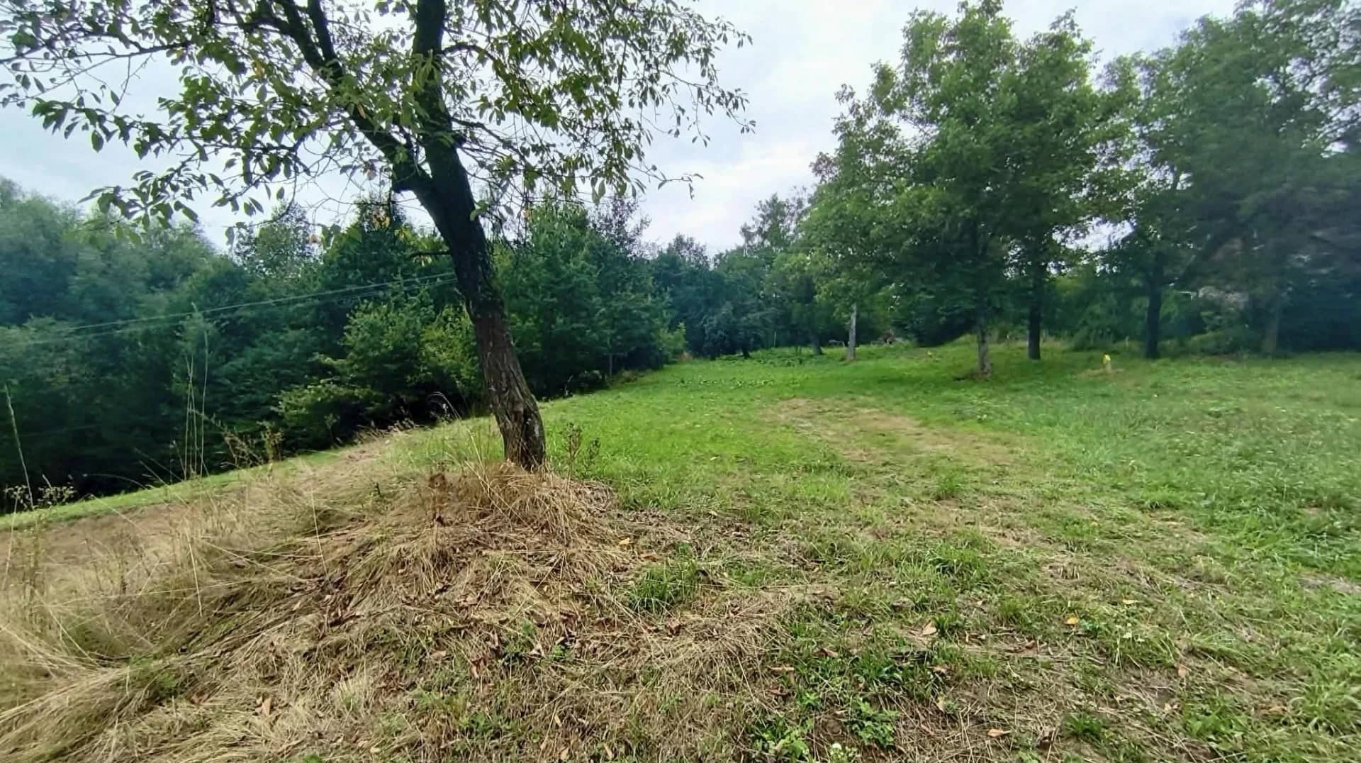 Działka budowlana -Janowice, powiat tarnowski, gm. Pleśna