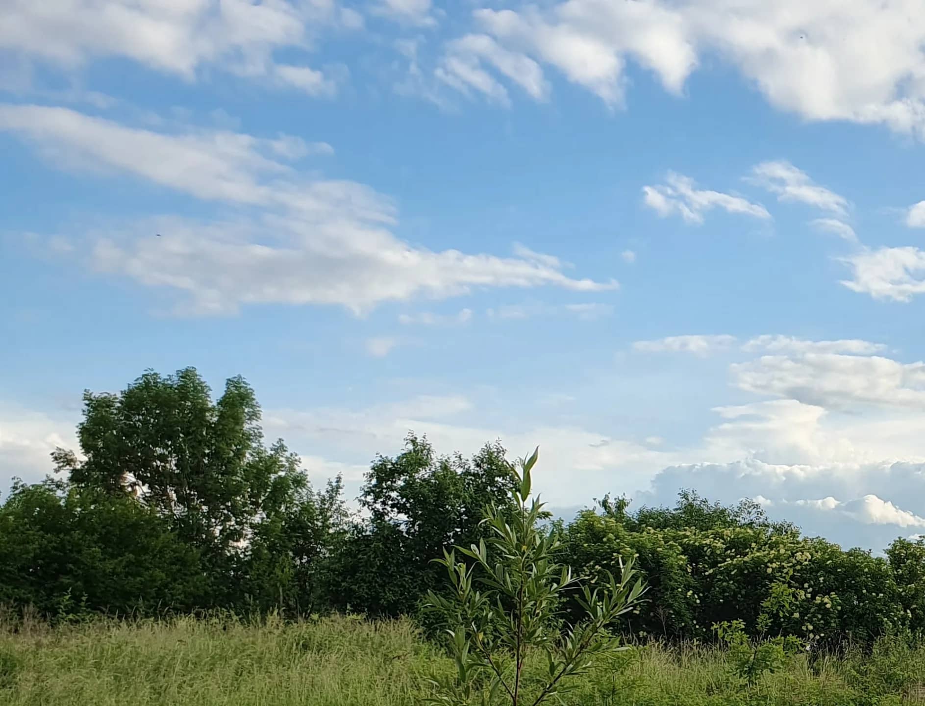 Ogrodzona działka budowlana Grobelno / Malbork, 2249 m2, WZ