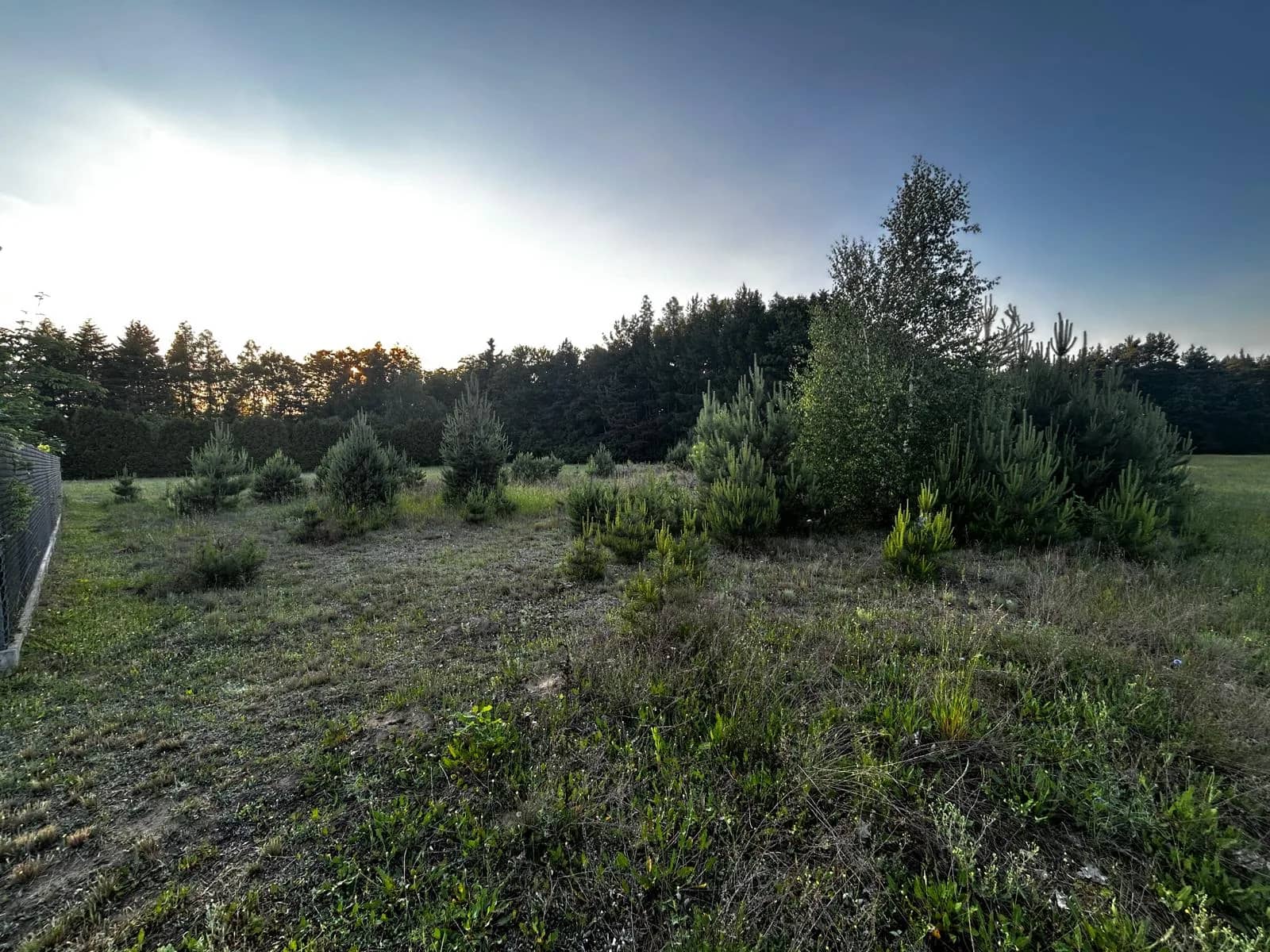Działka budowlana 1000m² - Puszcza Mariańska - bez prowizji