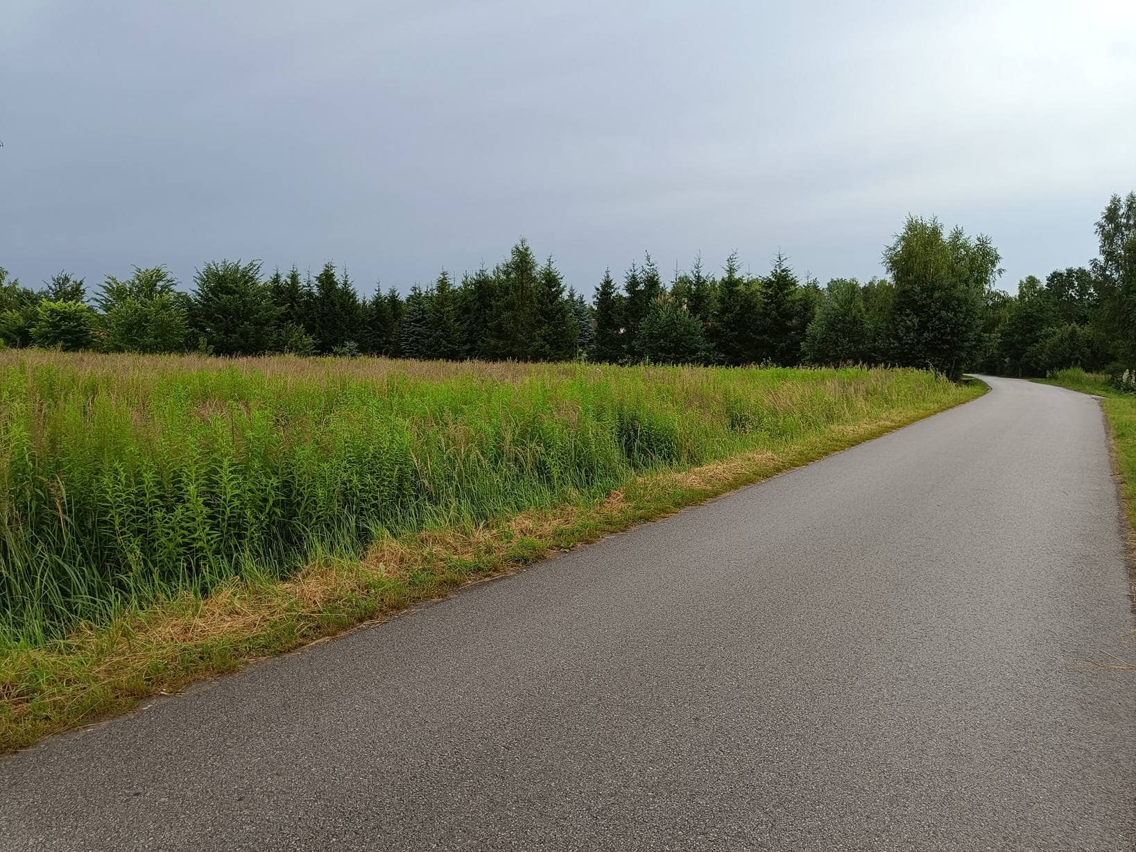Działka Włodzimierzów 2427m2 150zł/m2
