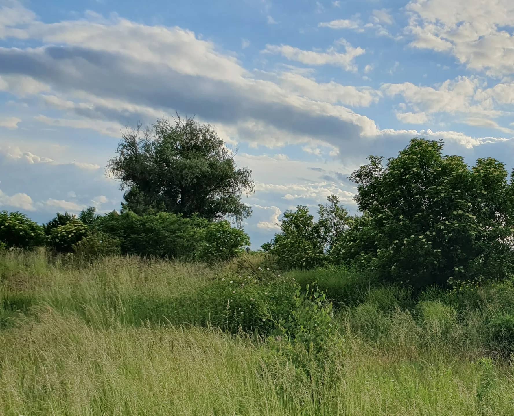 Ogrodzona działka budowlana Grobelno / Malbork, 2249 m2, WZ