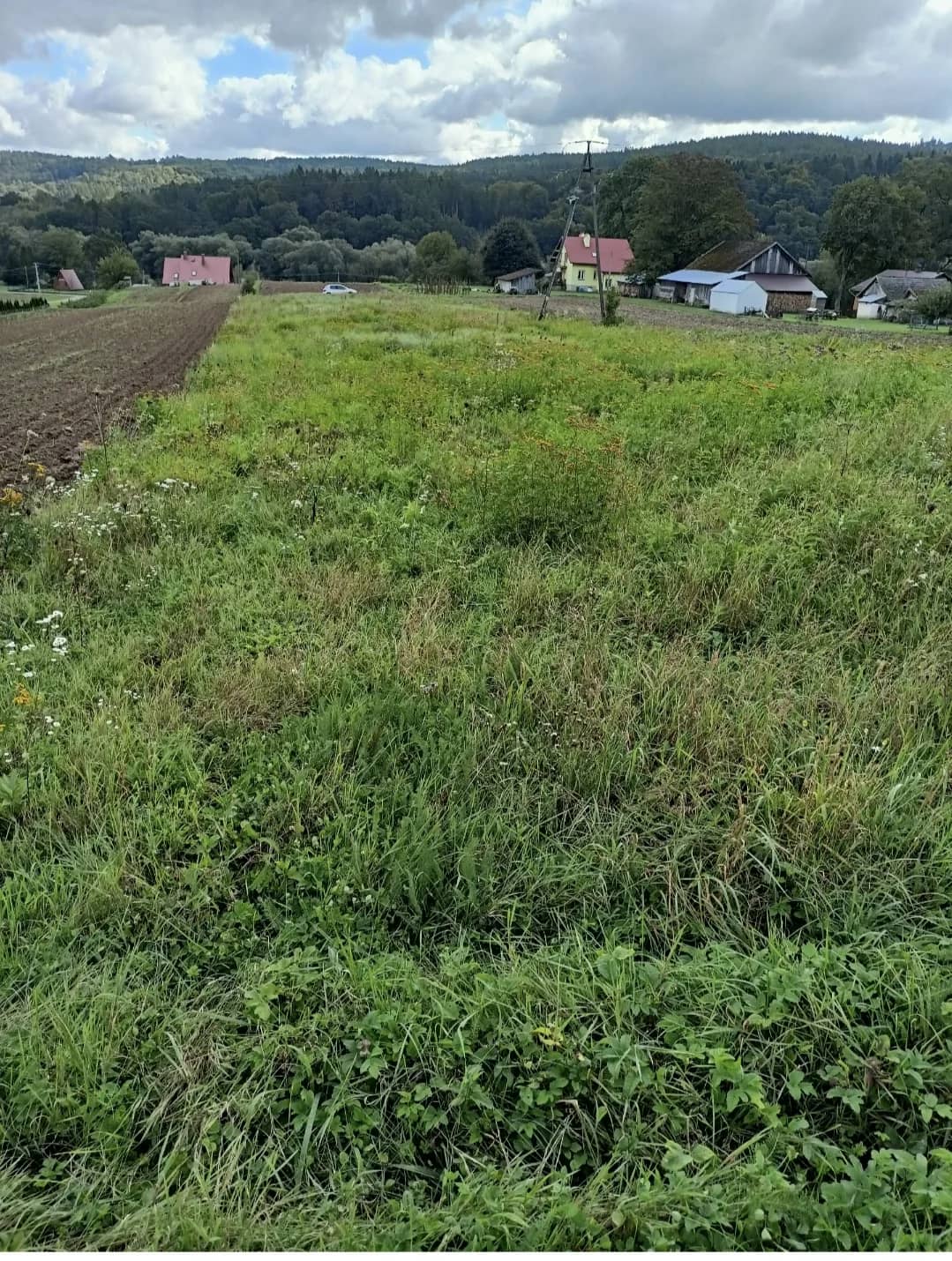 Działka budowlana, warunki zabudowy, Słonne k. Dubiecka