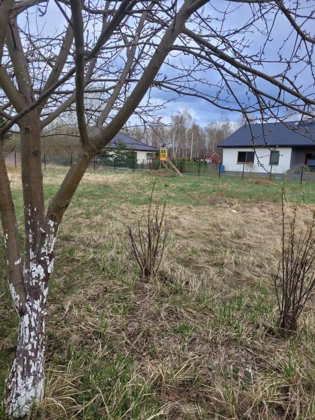 Działka koło Zalesia Górnego