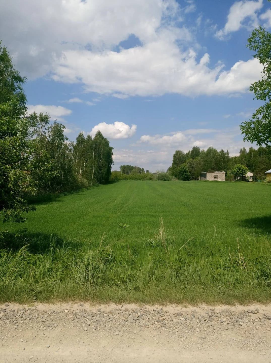 Zdjęcie 15