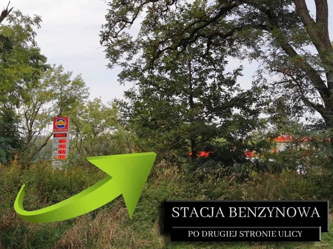 Zdjęcie 8