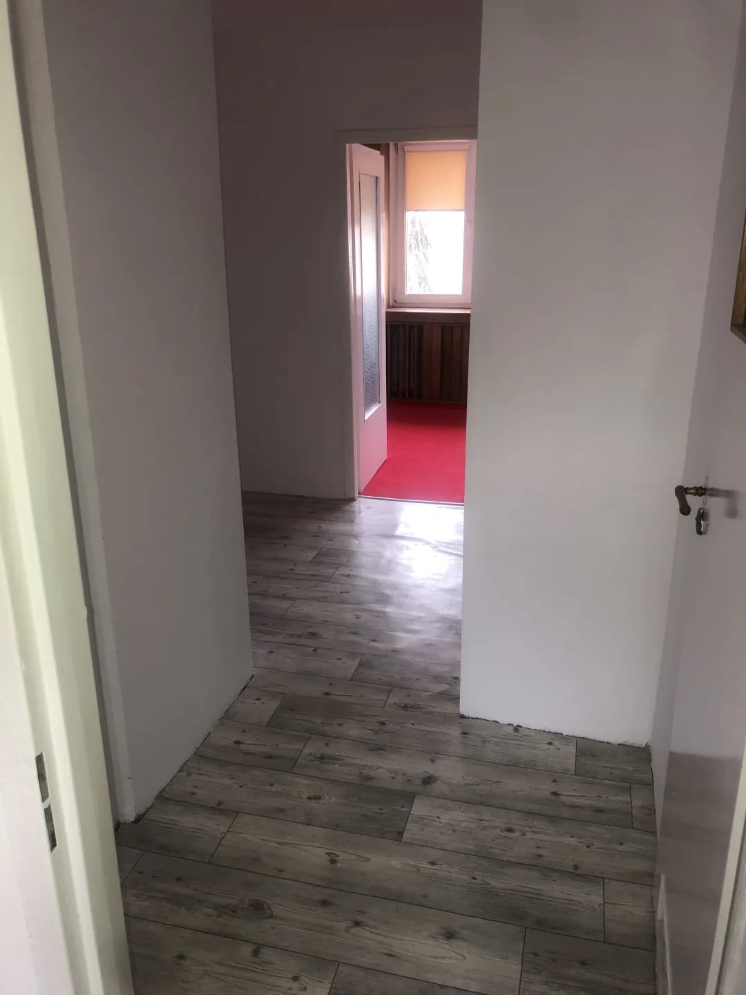 Zdjęcie 11