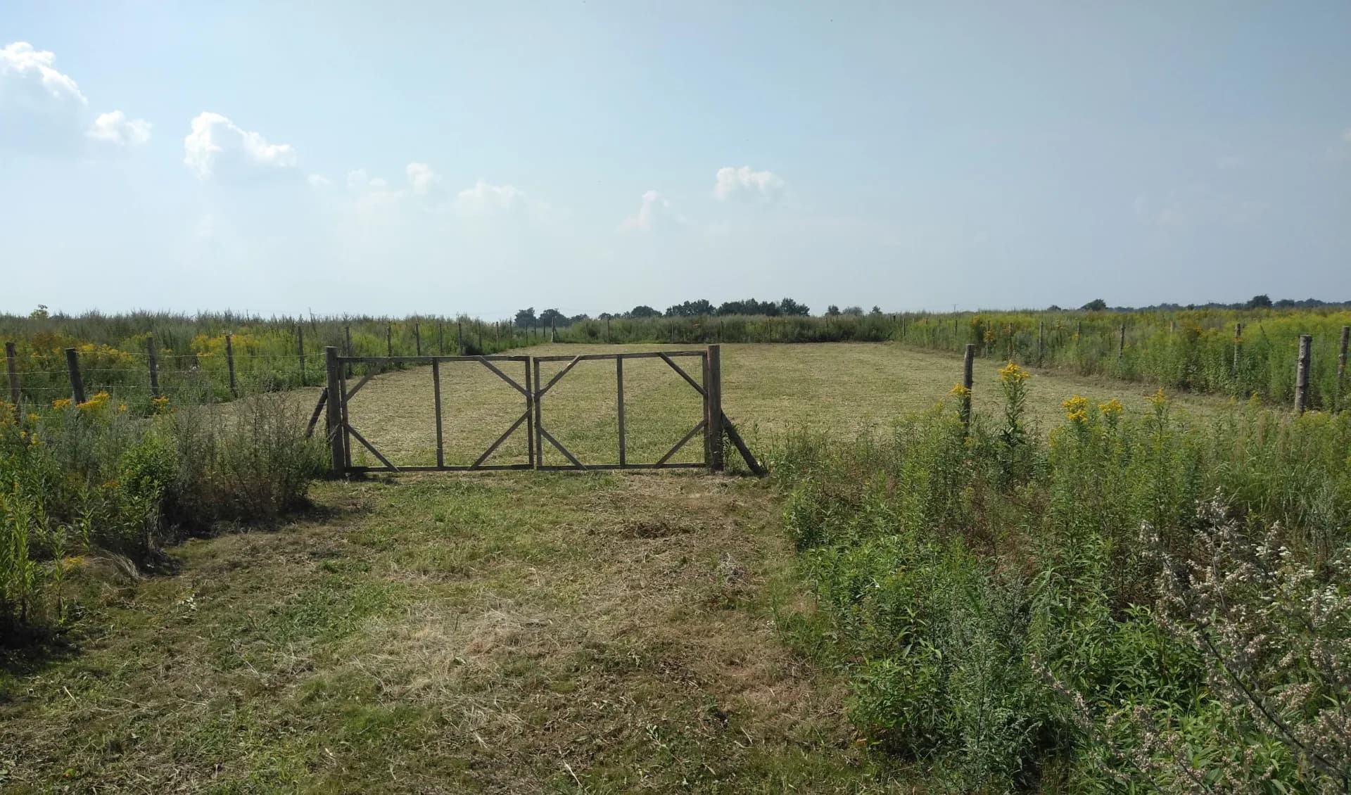 Zdjęcie 18