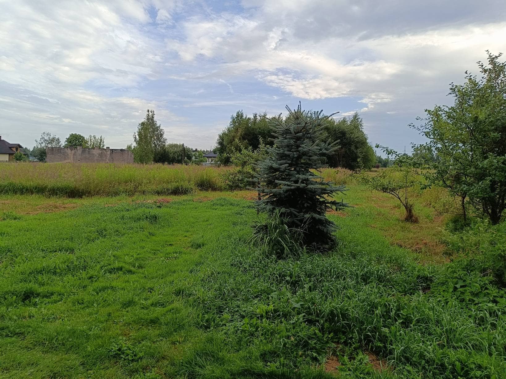 Działka Włodzimierzów 2427m2 150zł/m2