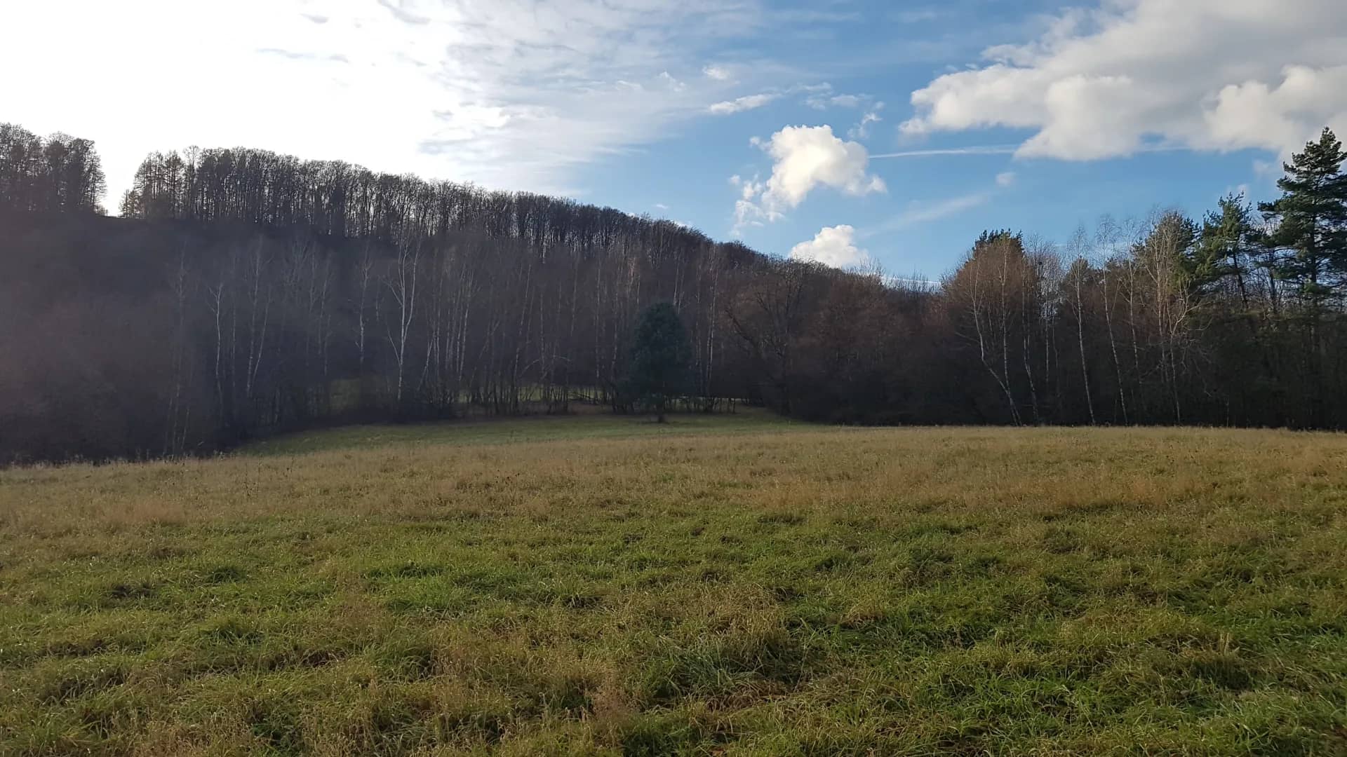 Uzbrojona działka widokowa na wzgórzu w Bieszczadach – 3 min od Soliny + własny las!