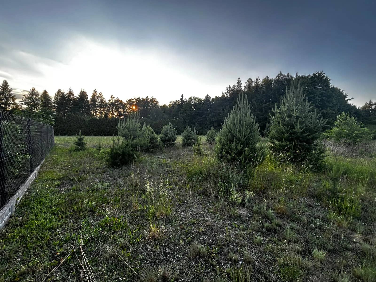 Działka budowlana 1000m² - Puszcza Mariańska - bez prowizji