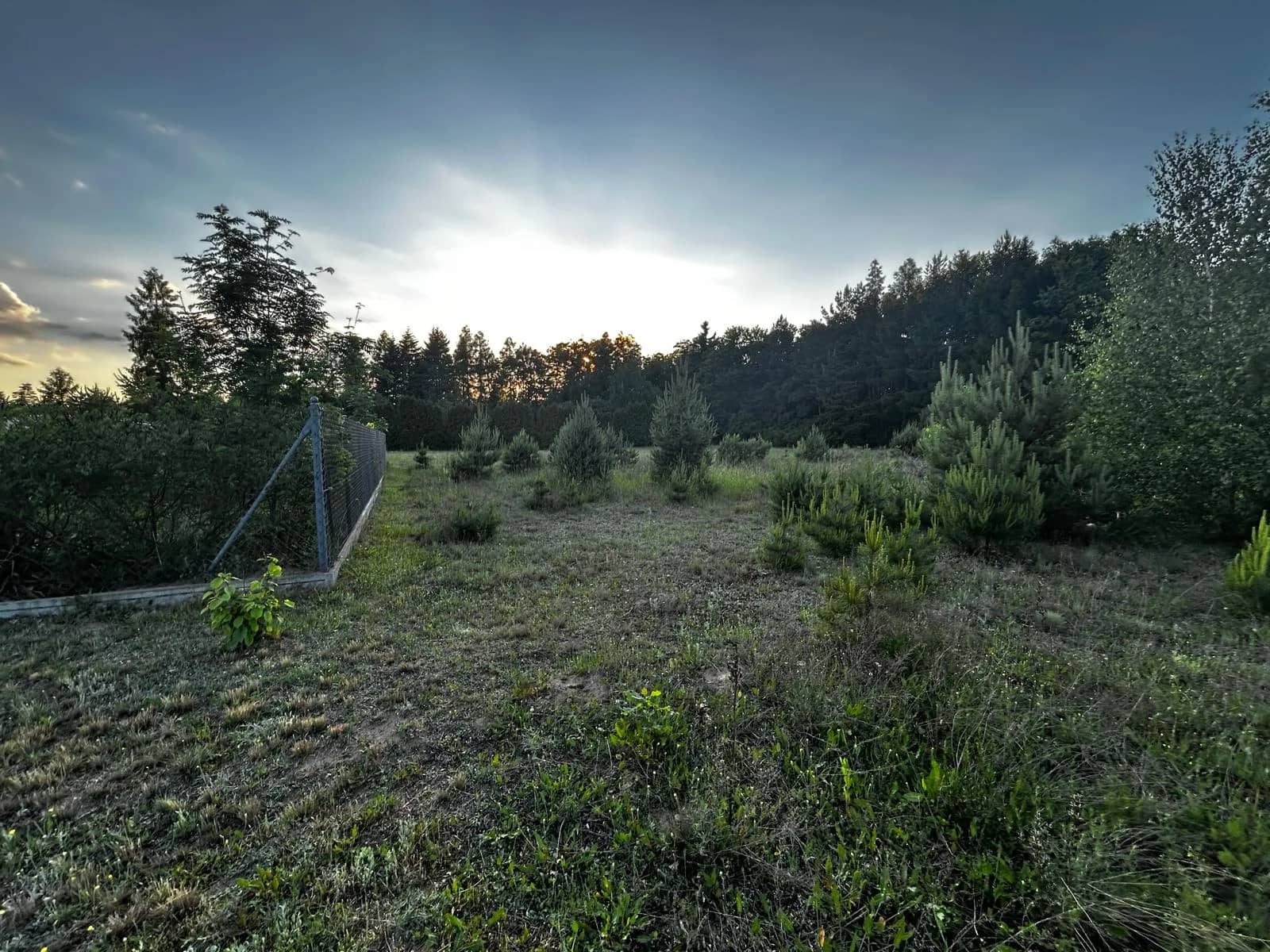 Działka budowlana 1000m² - Puszcza Mariańska - bez prowizji