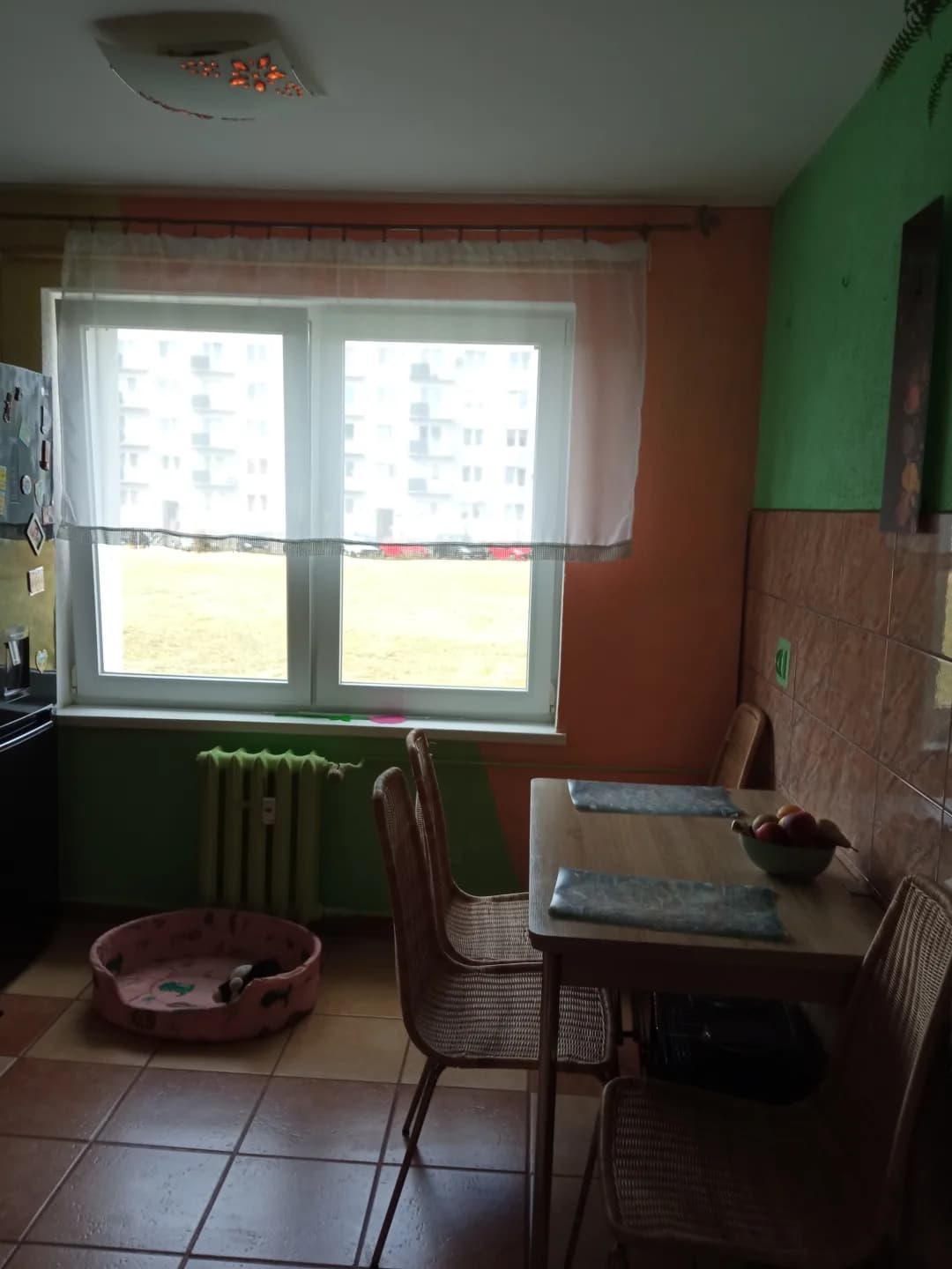 Zdjęcie 6