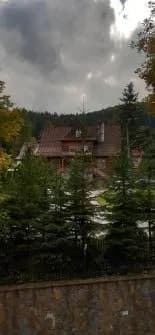 Zdjęcie 15