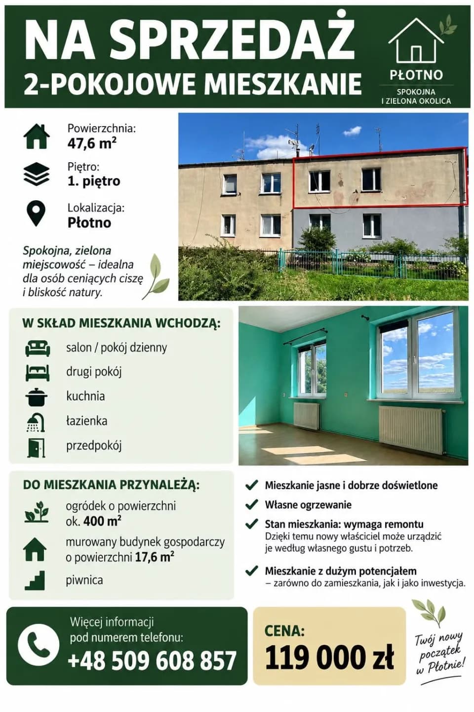 Zdjęcie 12