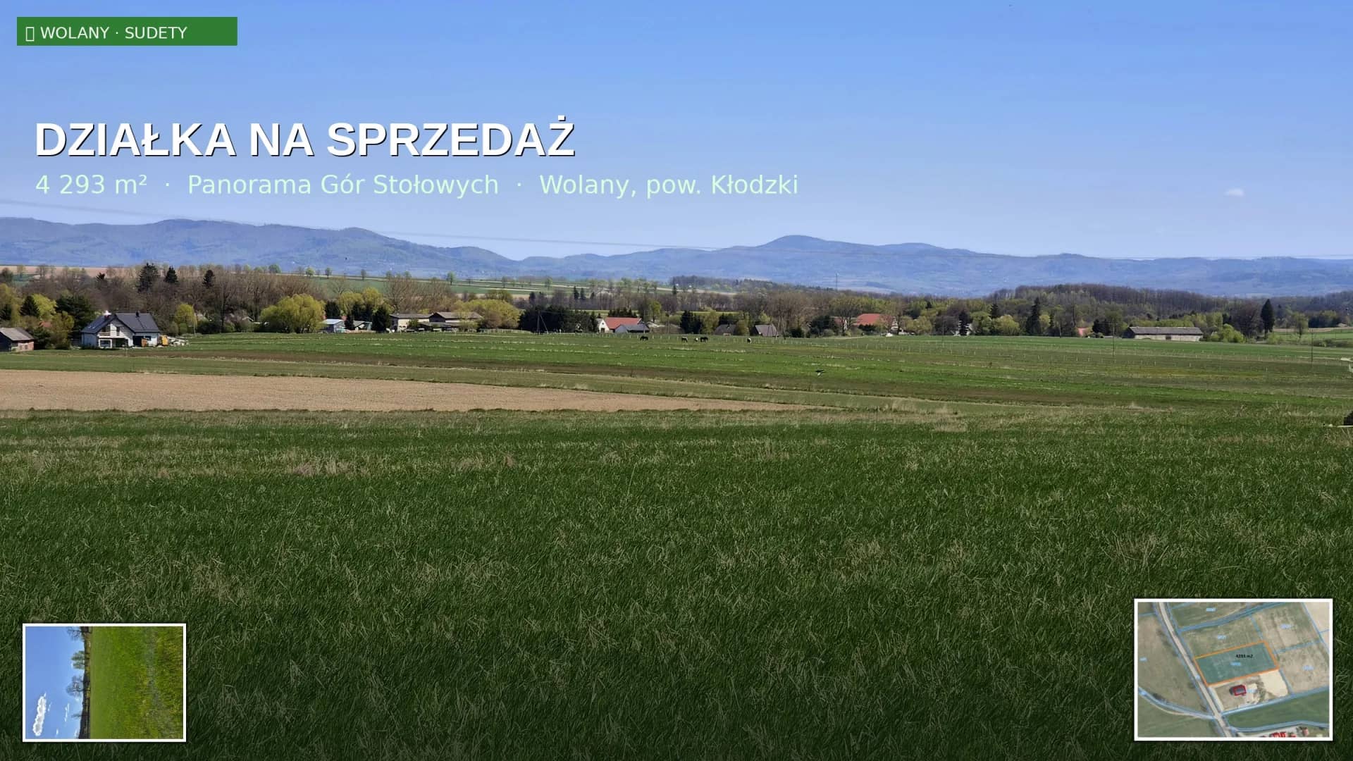Działka 4292 m² z widokiem na Sudety | Wolany |