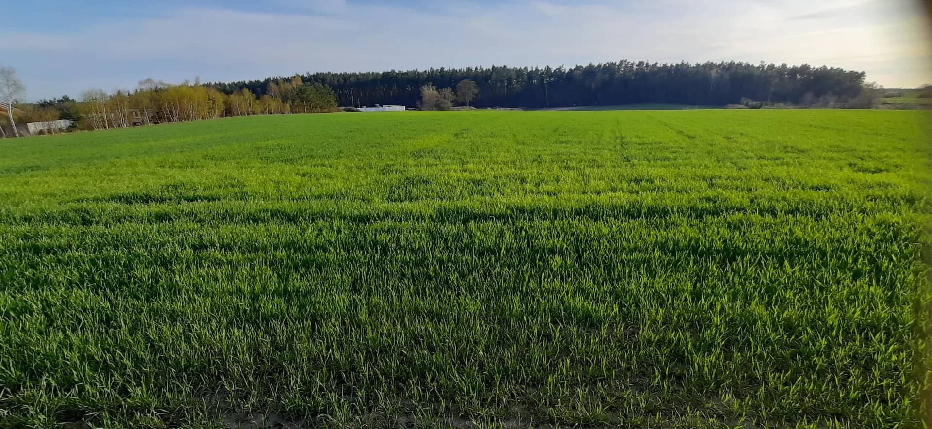 Działka budowlana